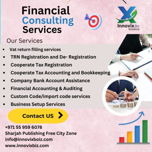 Financial Consulting Services